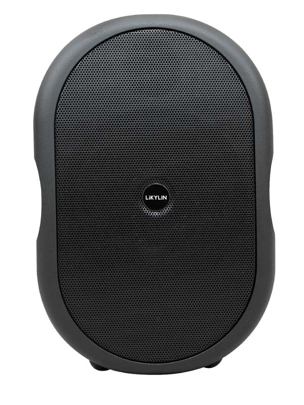 單4寸無源會議音箱